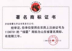 http://www.peofly.com/2013/ShanDong/pho/rongyu/1136731.jpg